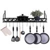 Black Metal Rectangular Wall Mounted Kitchen Pot Rack With 12 Hanging Hooks
